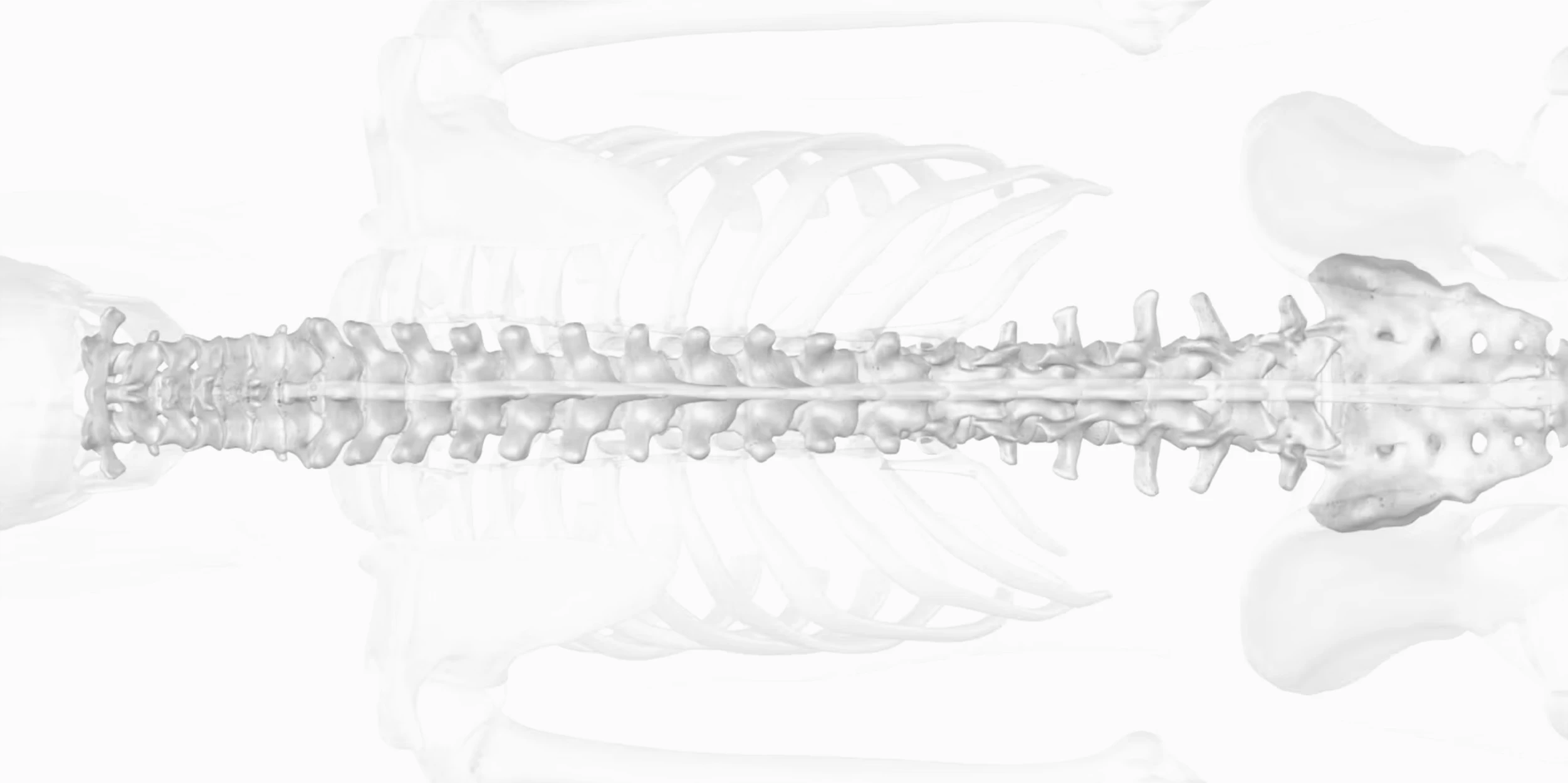 Comprehensive collection of Trainos Matrices showing scalable surgical training models from common to rare pathologies